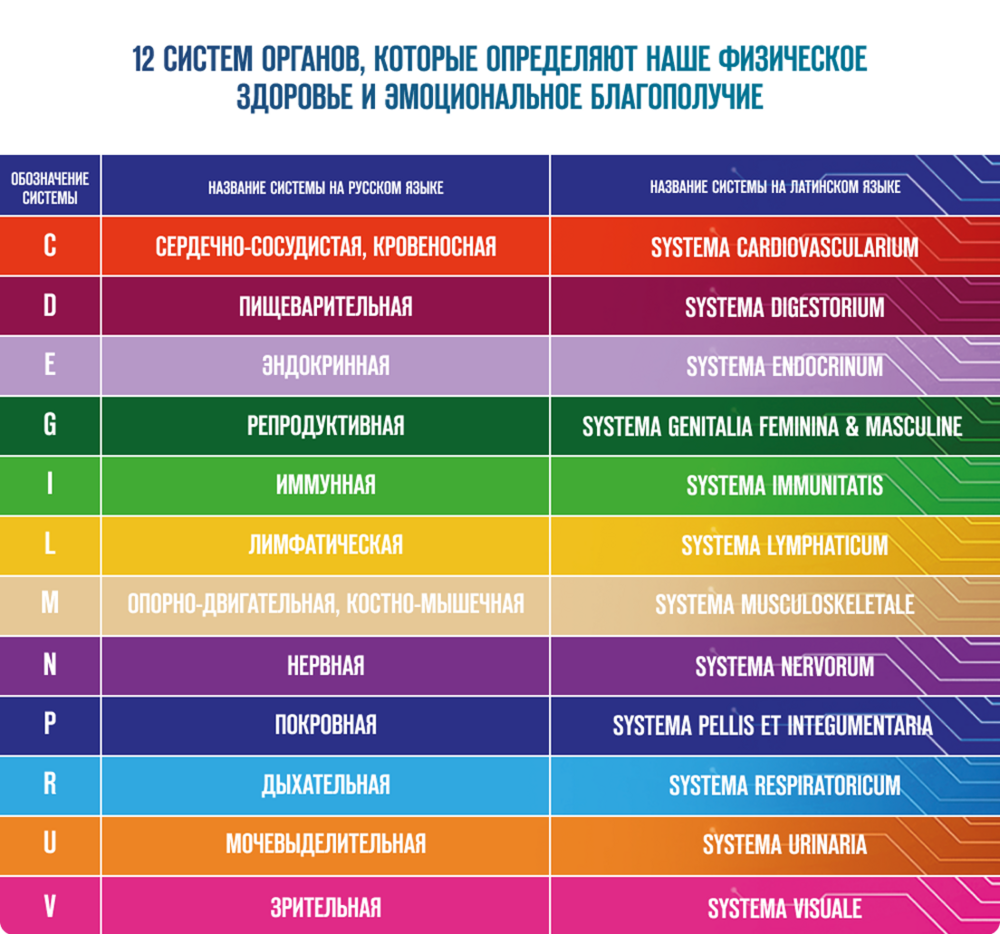 Почему 12 систем?