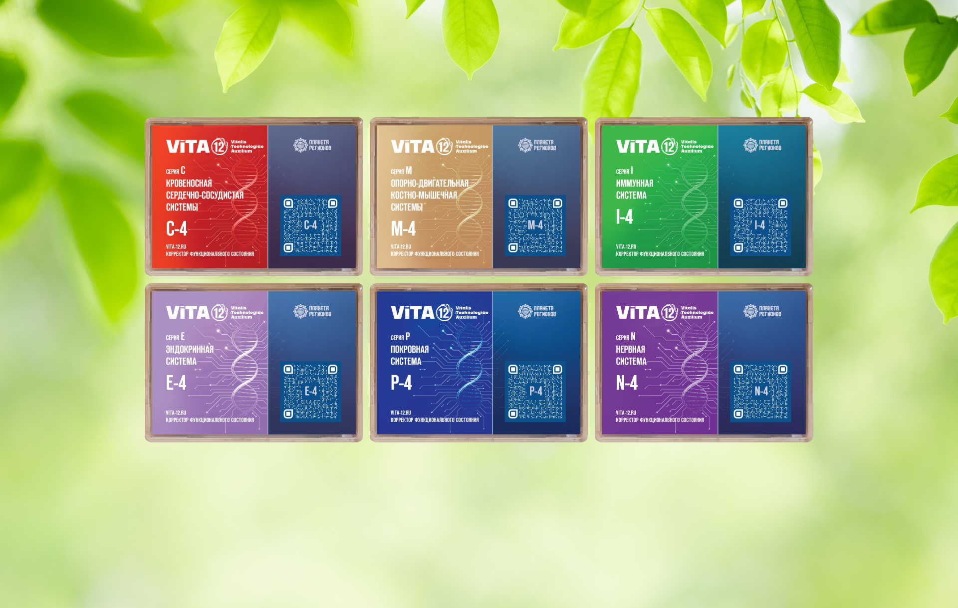 «ViTA-12» РАСШИРЕНИЕ АССОРТИМЕНТА КФС В СИСТЕМАХ C, E, I, M, N, P